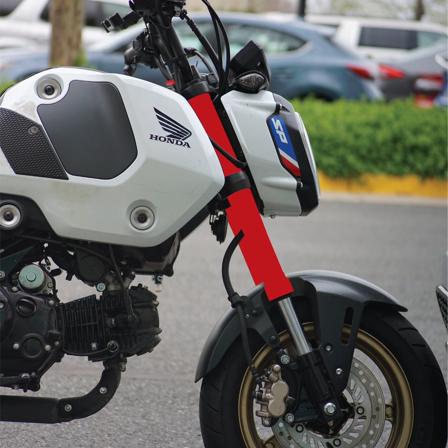 Honda Grom Fork Wrap Kit